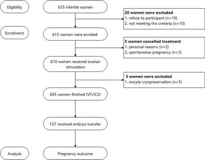 Mediterranean diet improves blastocyst formation in women previously infected COVID-19: a prospective cohort study